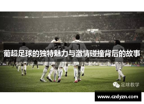 葡超足球的独特魅力与激情碰撞背后的故事