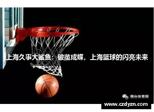 上海久事大鲨鱼：破茧成蝶，上海篮球的闪亮未来